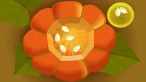 Screenshot of top down view of a pumpkin with top cut off. Seeds are in a bowl to the side, with more in the pumpkin.